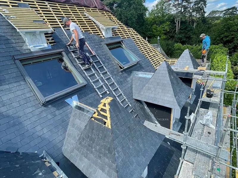 Pose de Velux à Fontainebleau — FP Couverture
