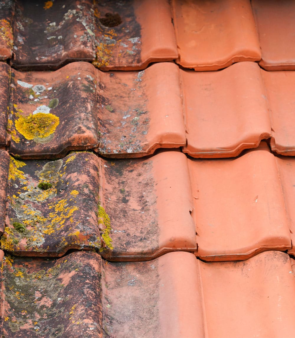 detail-nettoyage-tuiles-toiture